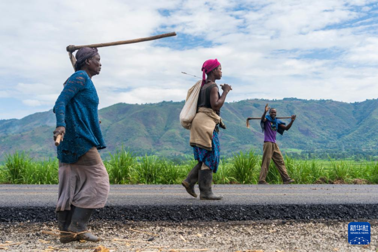 在肯尼亚，有条“蔗糖之路”