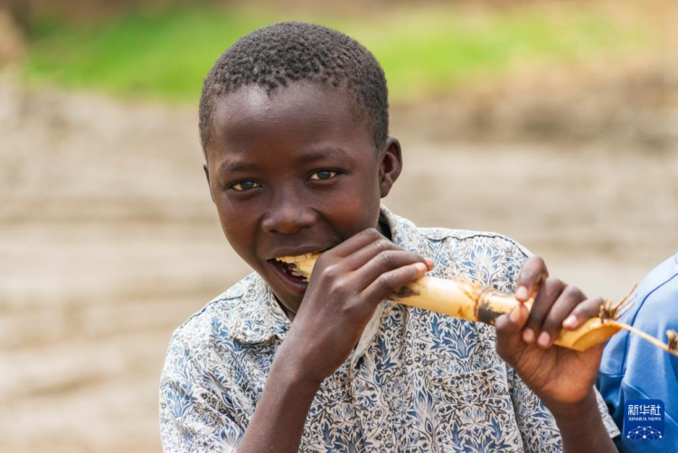 在肯尼亚，有条“蔗糖之路”