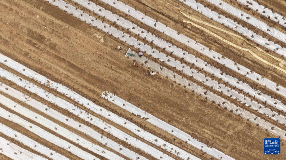 山东：不负春光耕作忙_fororder_【不负春光】2