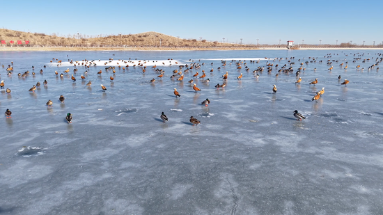 79de633bb42d0a33d12bc34a66abb572