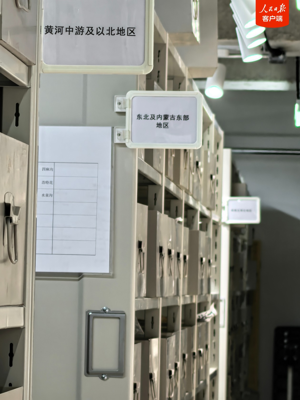 发现中国最早杨梅古树、揭秘距今约5000年水利工程……6项考古领域重大成果发布