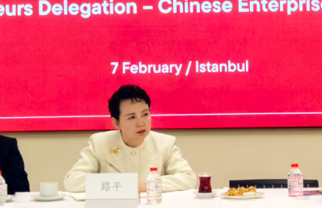 抓住中土合作新机遇，以自贸港优势实现双向赋能