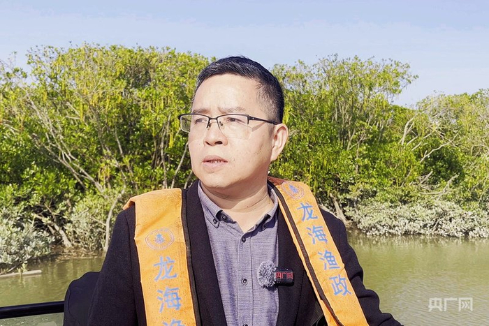 兰国华正在红树林保护区巡护（央广网记者 龚雯 摄）