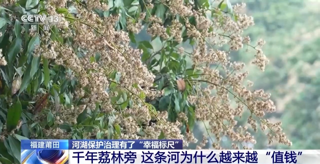 幸福河湖有国标了！莆田这条河用AI把“治水”变“智水”