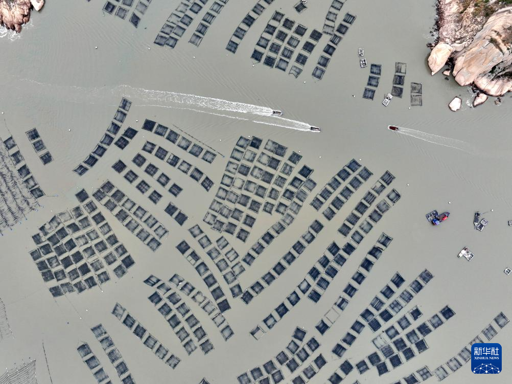 福建宁德：海上田园冬耕忙