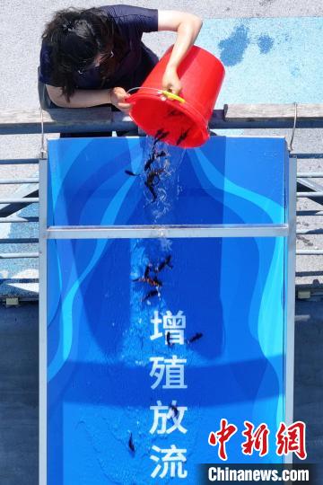 南京舉辦水生生物增殖放流活動(dòng)“共建美麗長江”