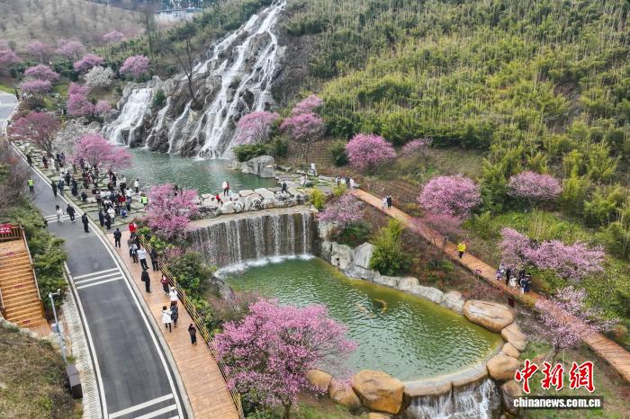 贵州贵安新区：“梅园”花开引游人