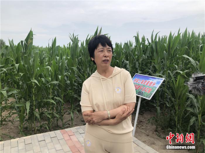 科左中旗農(nóng)業(yè)技術(shù)推廣中心主任梅園雪