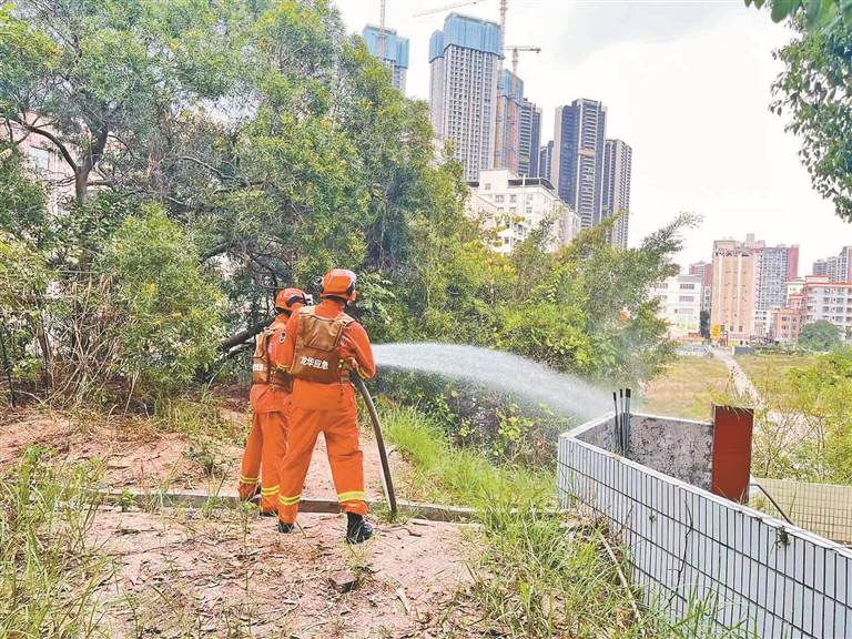 约37000人次平安祭扫！龙华清明零火情