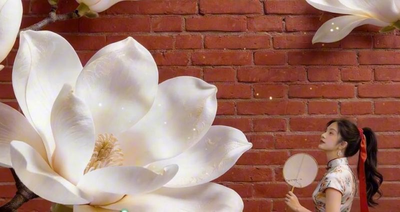 开启一场特别的城市漫步