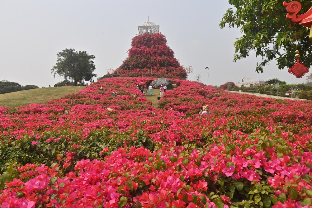 四季皆芳菲，这座城市“人间四月天”全年不打烊