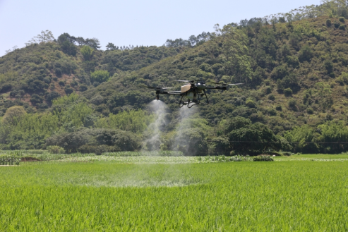 北流低空经济跑出“加速度”