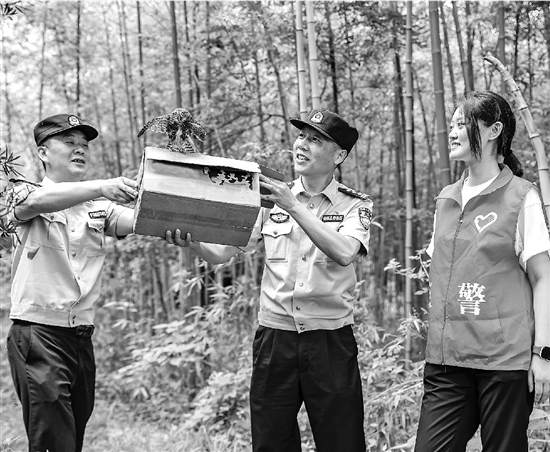 非法狩猎用上热成像无人机，公安如何应对？