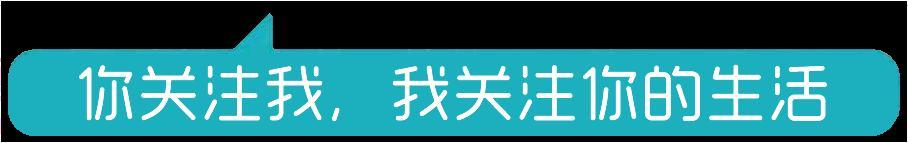 乘客飞机上因座椅调整起冲突，警方介入