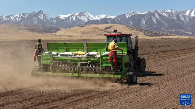 祁连山下春播忙