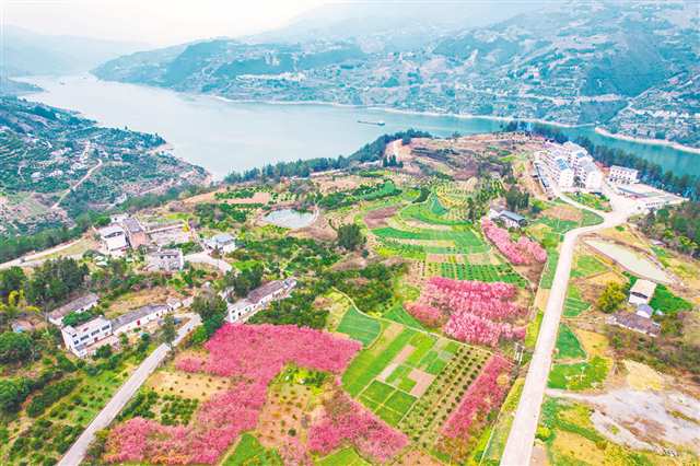 重庆巫山：库区乡村生态美