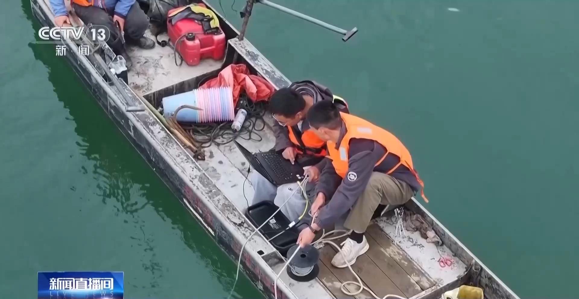 从野外灭绝到自然产卵 解码长江鲟野外种群重建关键一步