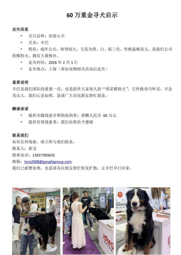 拥有大量粉丝的模特犬走失20天，广东一公司悬赏60万重金寻找伯恩山犬，“养了4年多，感情非常深厚”；律师：公开悬赏寻狗有法律效力