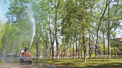 今年杨柳飞絮高发期将至 科技防控手段可实现精准治理北京首次启动飞絮实时监测预报