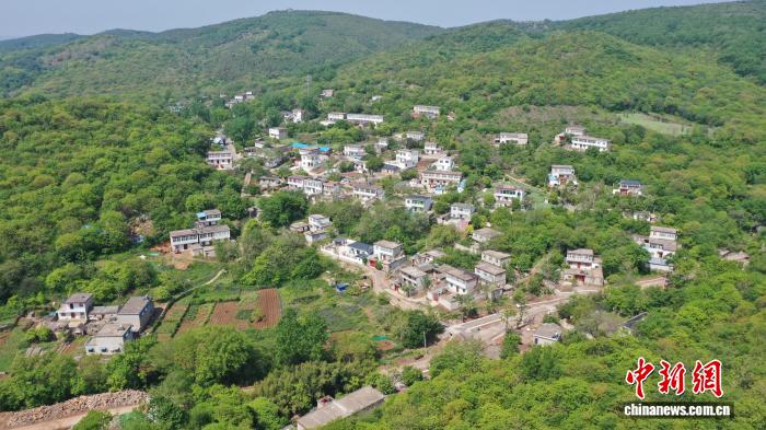 闲置房变生活场 安徽八公山野茶“泡”出新业态