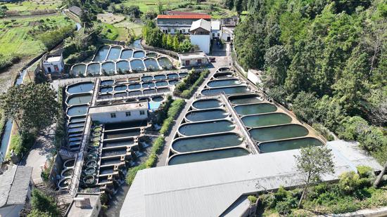 鲟鱼养殖基地 张小龙 摄