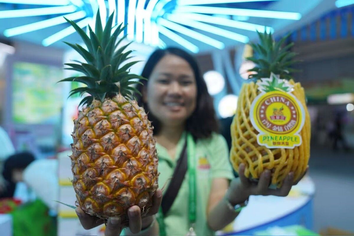 三大农食产业盛会东莞同步启幕，广东农产品走向世界