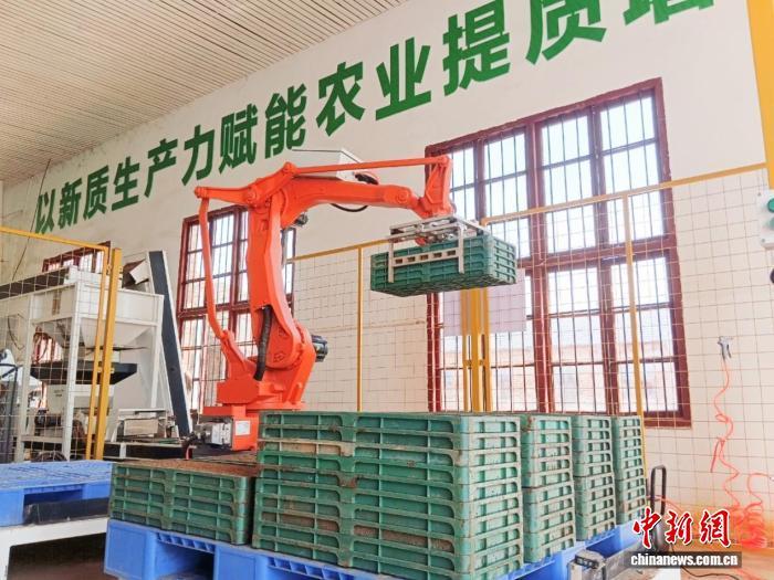 湖南东安春耕“黑科技”上线 育秧效率提升数倍