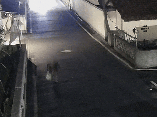 杭州老人散步两小时未归，家人报警后警方用无人机在灌木丛中发现了热源信号，终于找到了