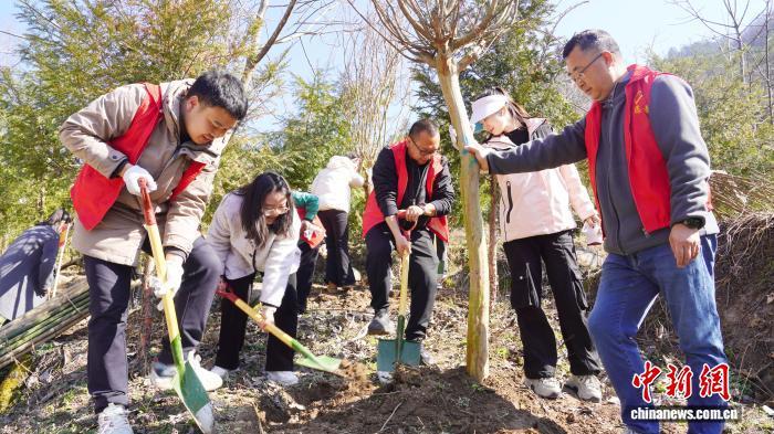 秦巴腹地绿意浓 陕西安康开展义务植树活动