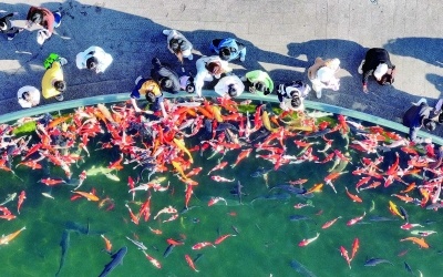 江苏南京：“迎新菜单”惊喜满格 梦幻奇趣欢乐加倍