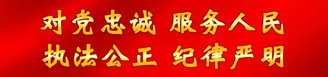 空中快警“精准搜索” 深夜寻回走失老人