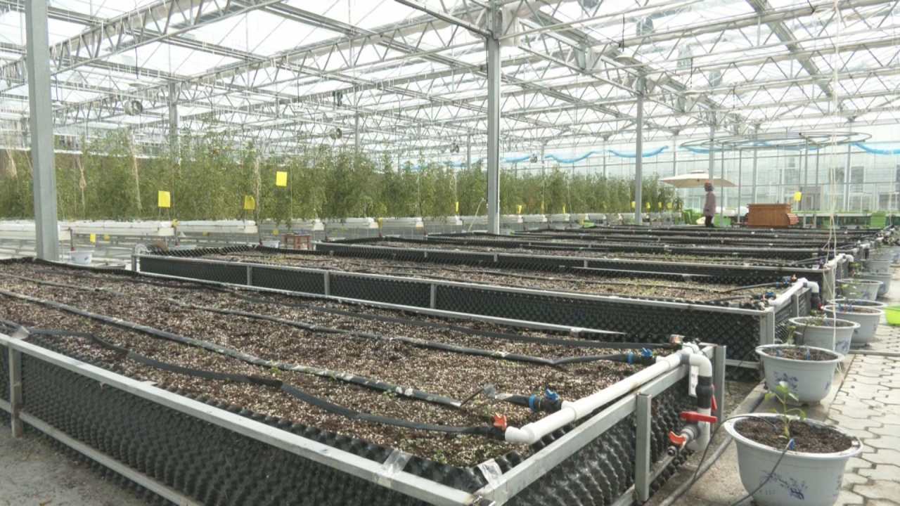 科技赋能 春耕春管有序展开