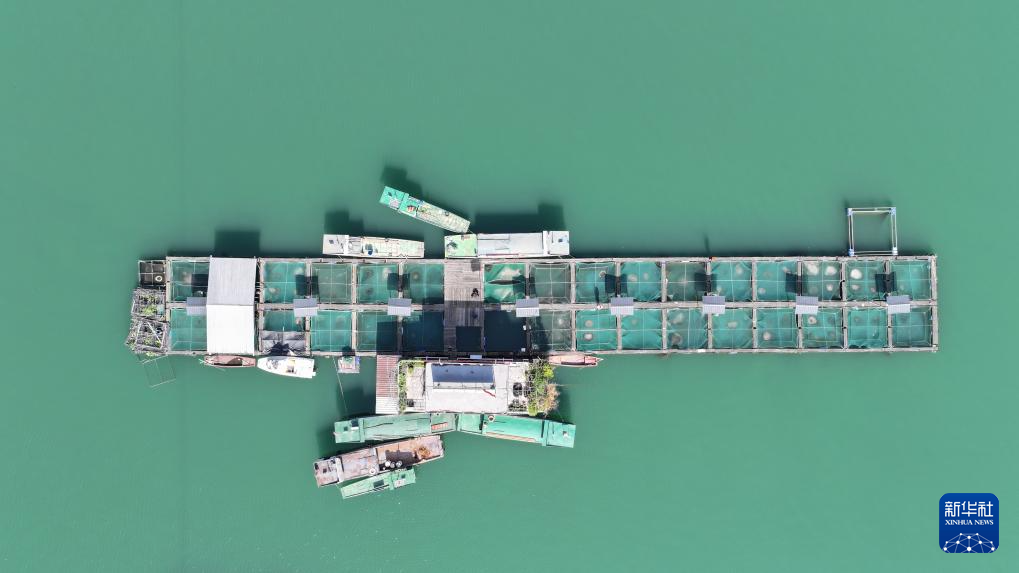 野化驯养基地助力长江水生物种生态修复