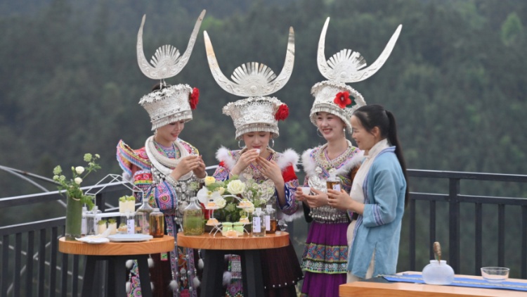 踏青品茶大苗山