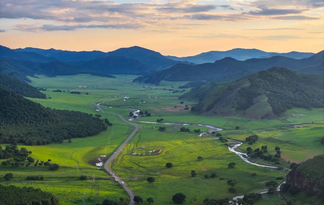 这些珍贵的“客人”，来了就不想走