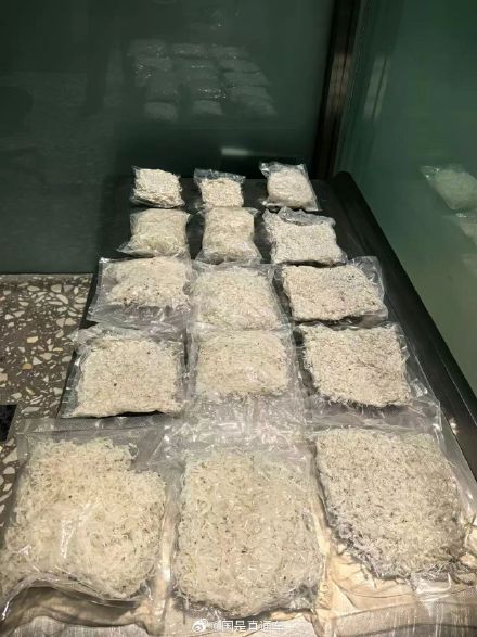 旅客把濒危羚羊角擦成丝入境被查