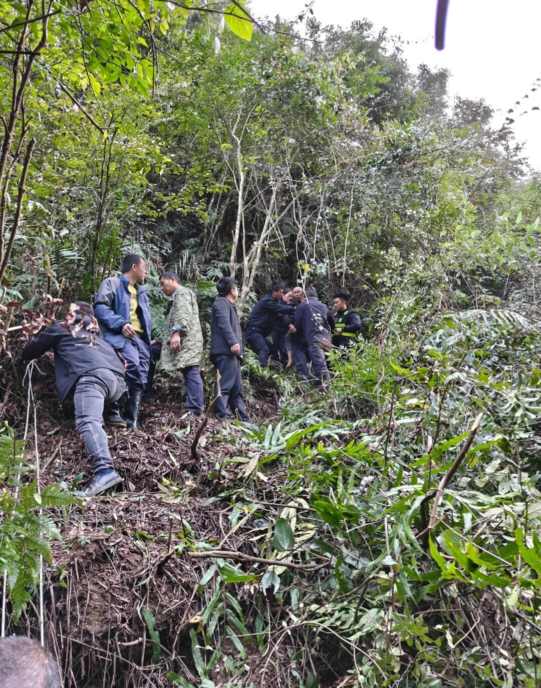没有路径，荆棘藤蔓缠绕成网！他们把郭某“捆”在身上救出……