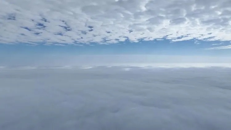 上海警方部署专项工作！汤某被刑拘