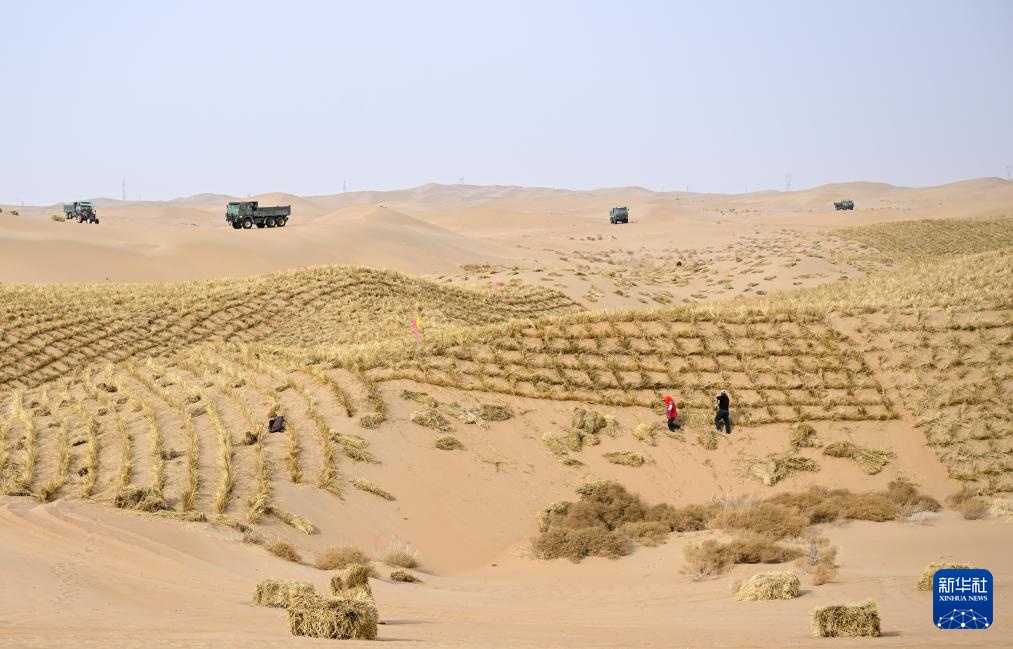 内蒙古阿拉善盟：2026年防沙治沙工程开工