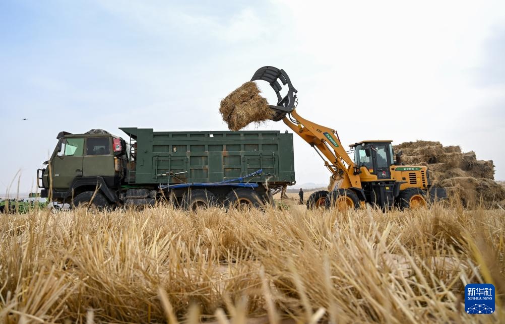 内蒙古阿拉善盟：2026年防沙治沙工程开工