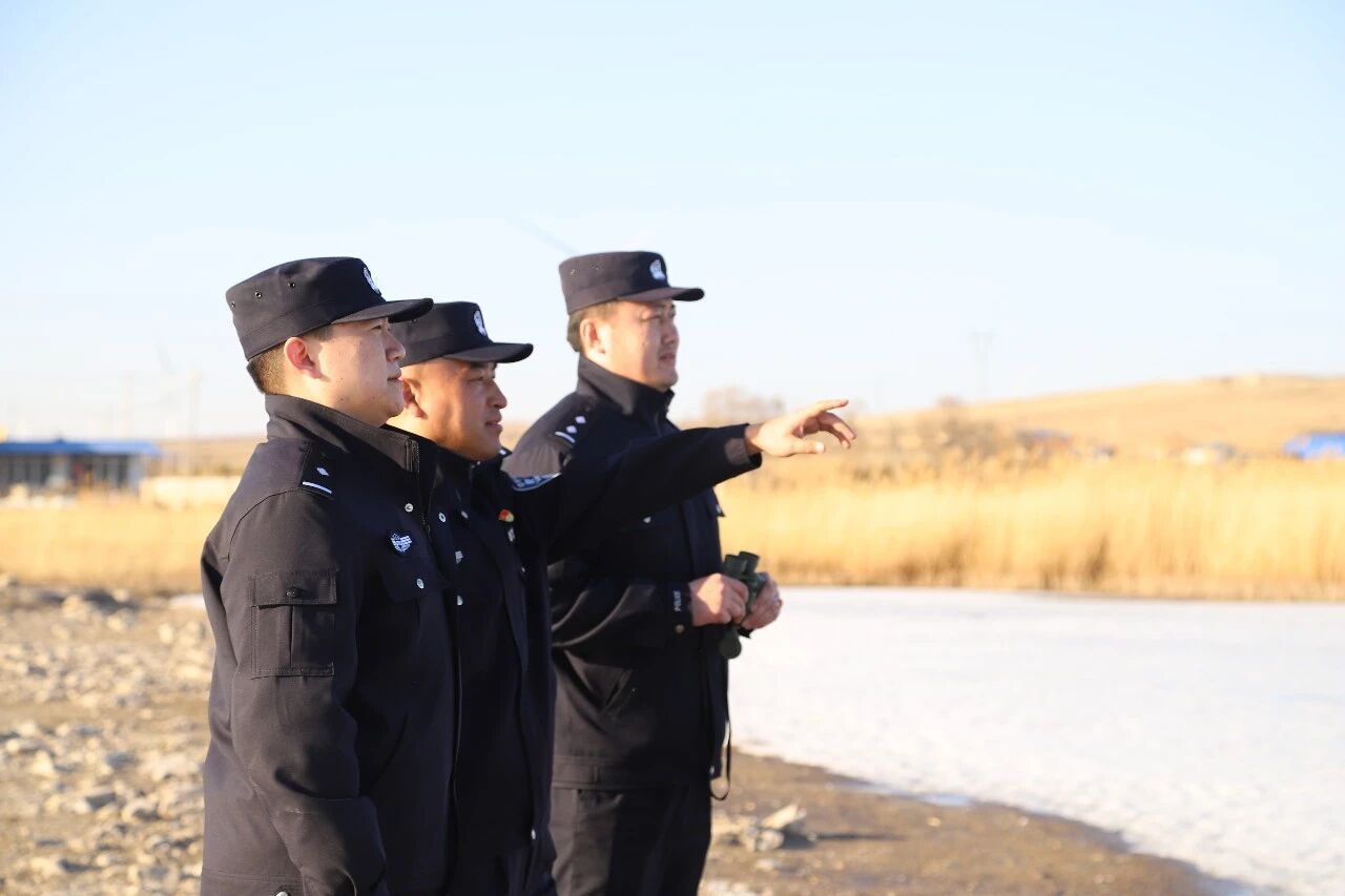 硬核护鸟，这波操作我服了