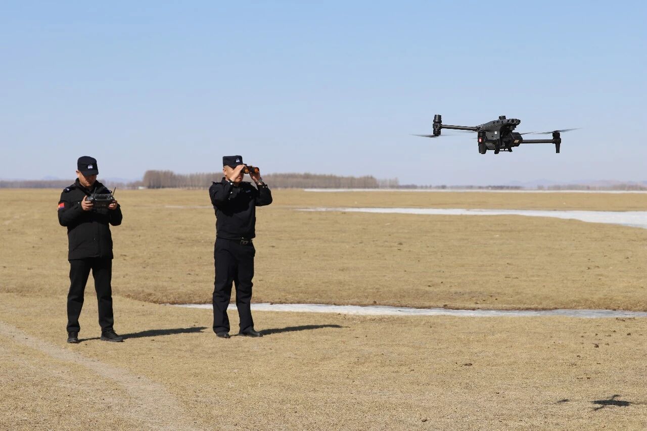 硬核护鸟，这波操作我服了