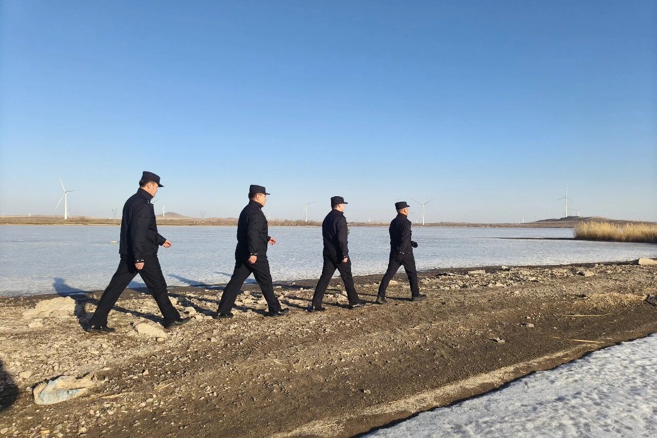 硬核护鸟，这波操作我服了