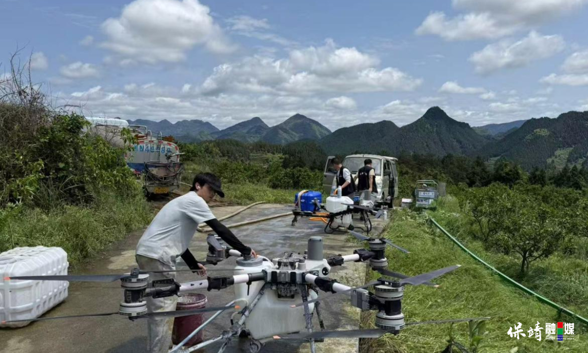 湘鄂黔渝十县联防联控 保靖万亩柑橘“飞防”收官