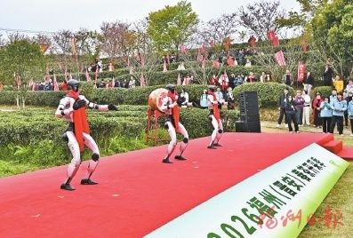 春山上的新茶事――2026福州（晋安）春茶开采季见闻