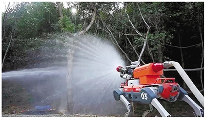 智防赋能守青山 全民同心护家园森林消防日主题宣传活动举行