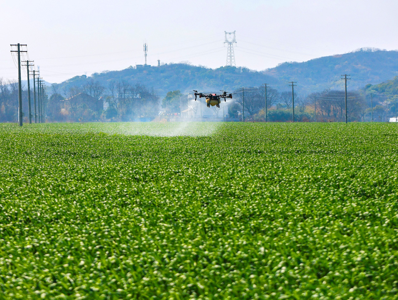 智慧农业好春景