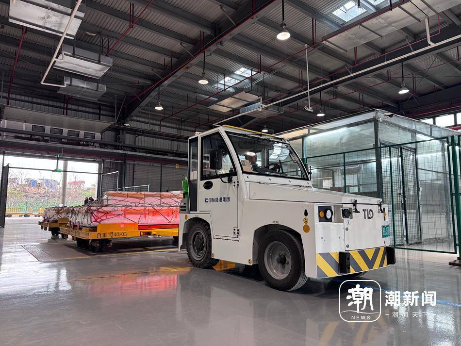 抢“鲜”落地！首批黄鳝“飞”抵义乌航空口岸