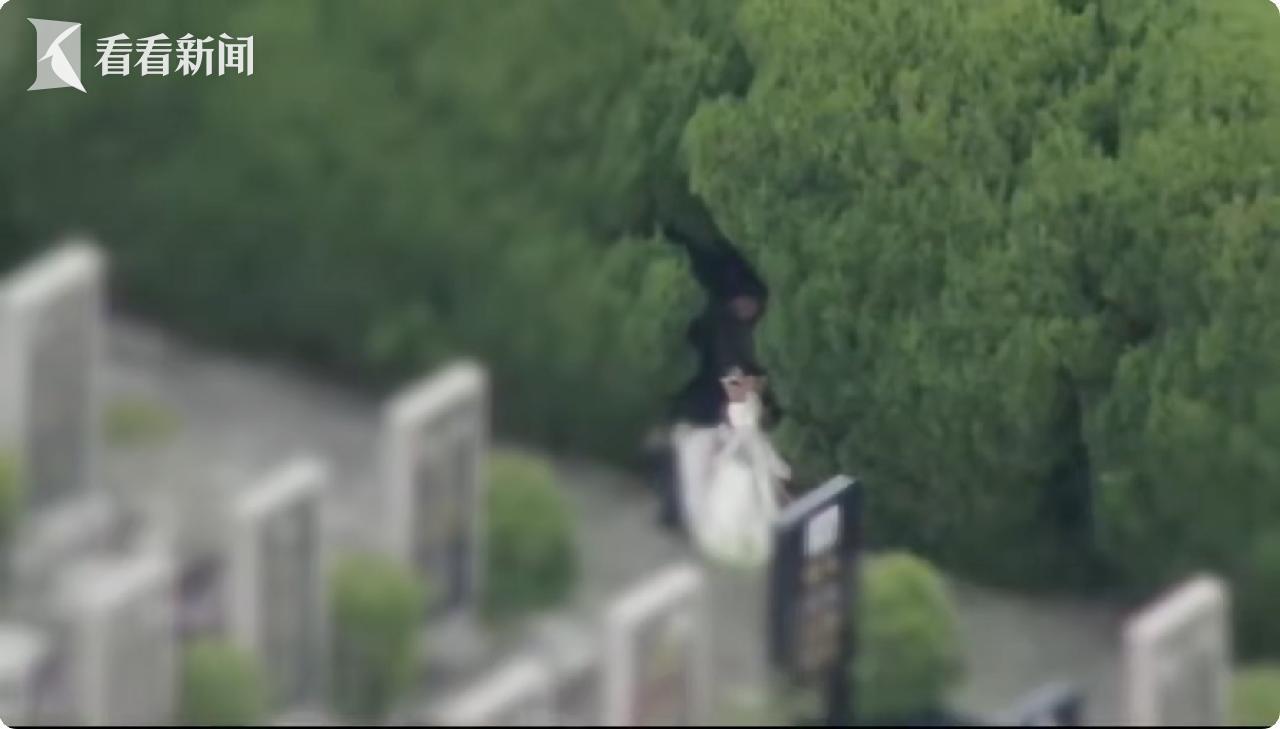 墓园惊现“采花大盗” 祭祀花也有人偷？！