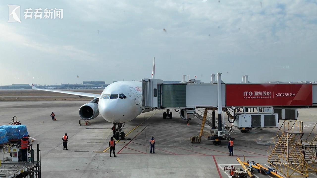 清明归乡热！虹桥机场港澳台旅客同比增近三成